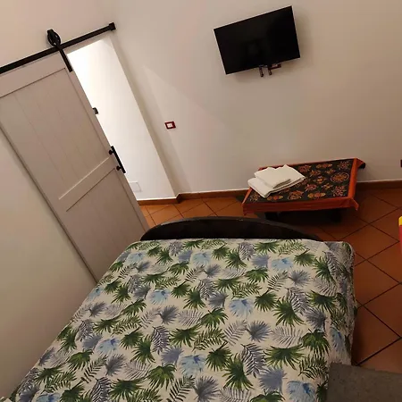 Gospodarstwo wiejskie In The Misterbianco